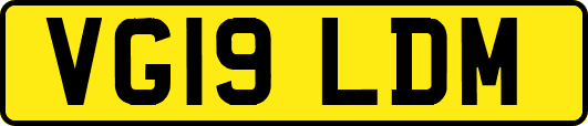 VG19LDM