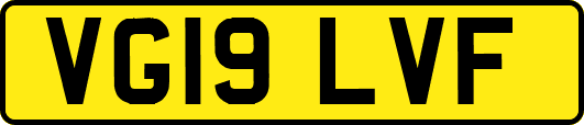 VG19LVF