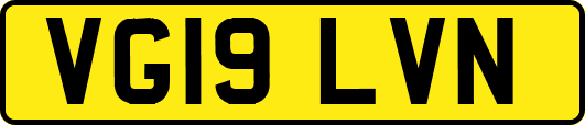 VG19LVN