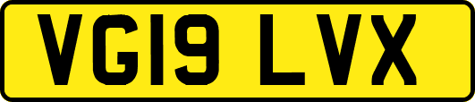 VG19LVX