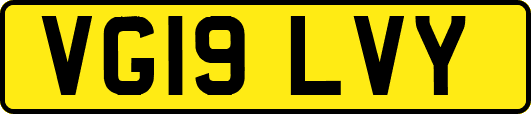 VG19LVY