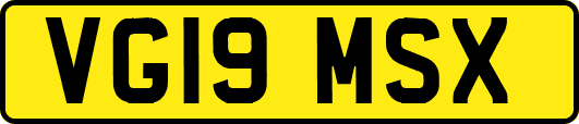 VG19MSX