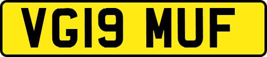 VG19MUF