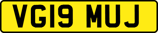 VG19MUJ