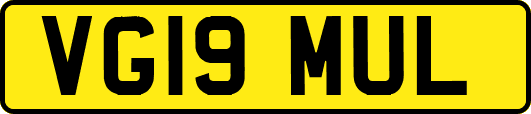 VG19MUL