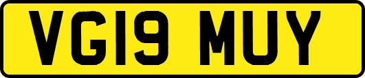 VG19MUY