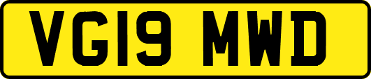 VG19MWD