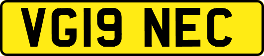 VG19NEC