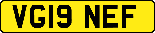 VG19NEF
