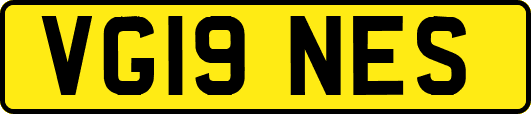 VG19NES
