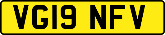 VG19NFV