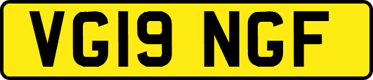 VG19NGF