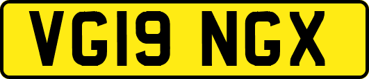 VG19NGX