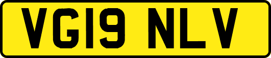 VG19NLV
