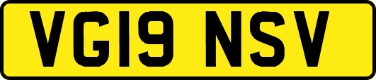 VG19NSV