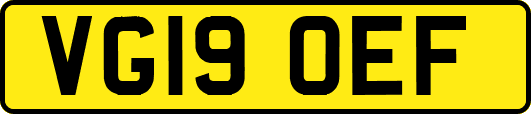 VG19OEF