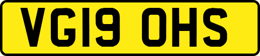 VG19OHS