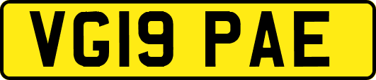 VG19PAE