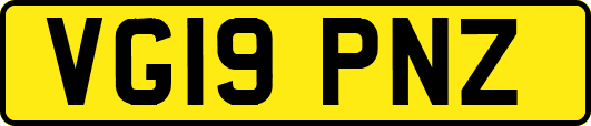 VG19PNZ
