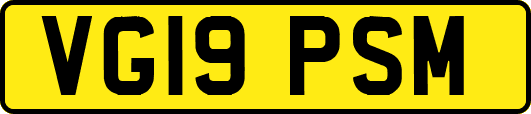 VG19PSM