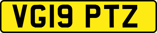 VG19PTZ