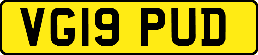 VG19PUD