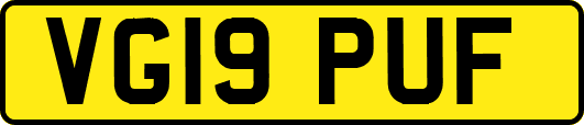 VG19PUF