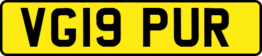 VG19PUR
