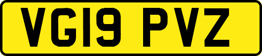 VG19PVZ