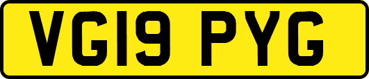 VG19PYG