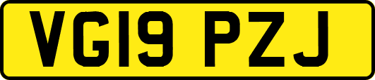 VG19PZJ