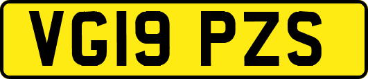 VG19PZS