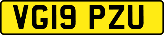 VG19PZU