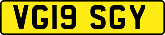 VG19SGY