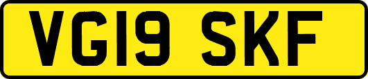 VG19SKF
