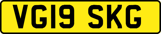 VG19SKG