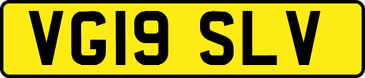 VG19SLV