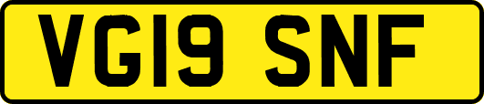 VG19SNF