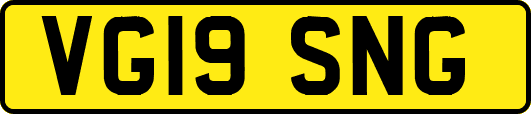 VG19SNG