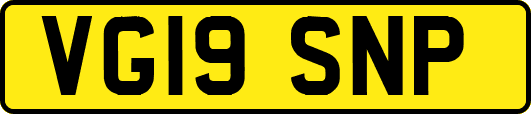 VG19SNP