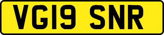 VG19SNR