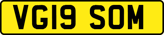 VG19SOM