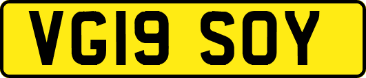 VG19SOY