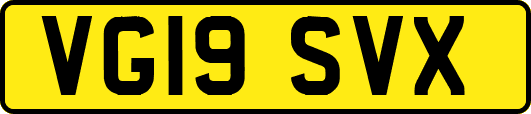 VG19SVX