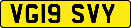 VG19SVY