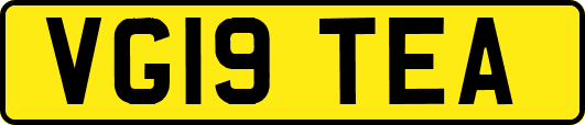 VG19TEA