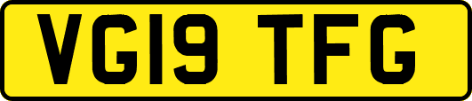 VG19TFG