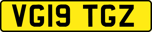 VG19TGZ