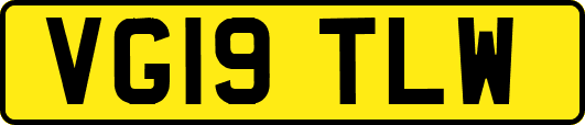 VG19TLW