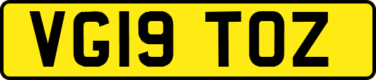 VG19TOZ